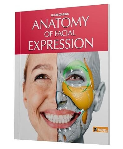 Anatomy of Facial Expressions